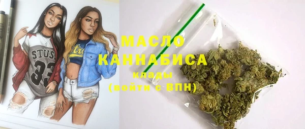 молекула духа Покров