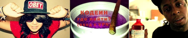 молекула духа Покров