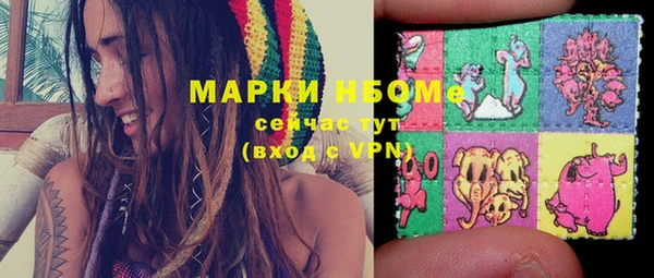 молекула духа Покров