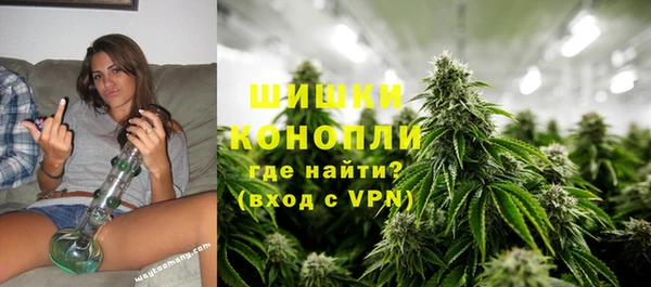 молекула духа Покров