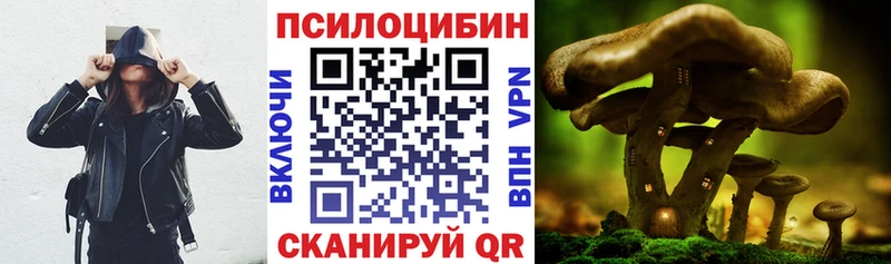 Галлюциногенные грибы Psilocybe  где купить   Южа 